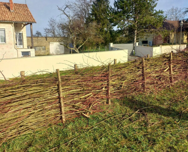 Du renouveau sur la place : un entretien plus durable de nos espaces