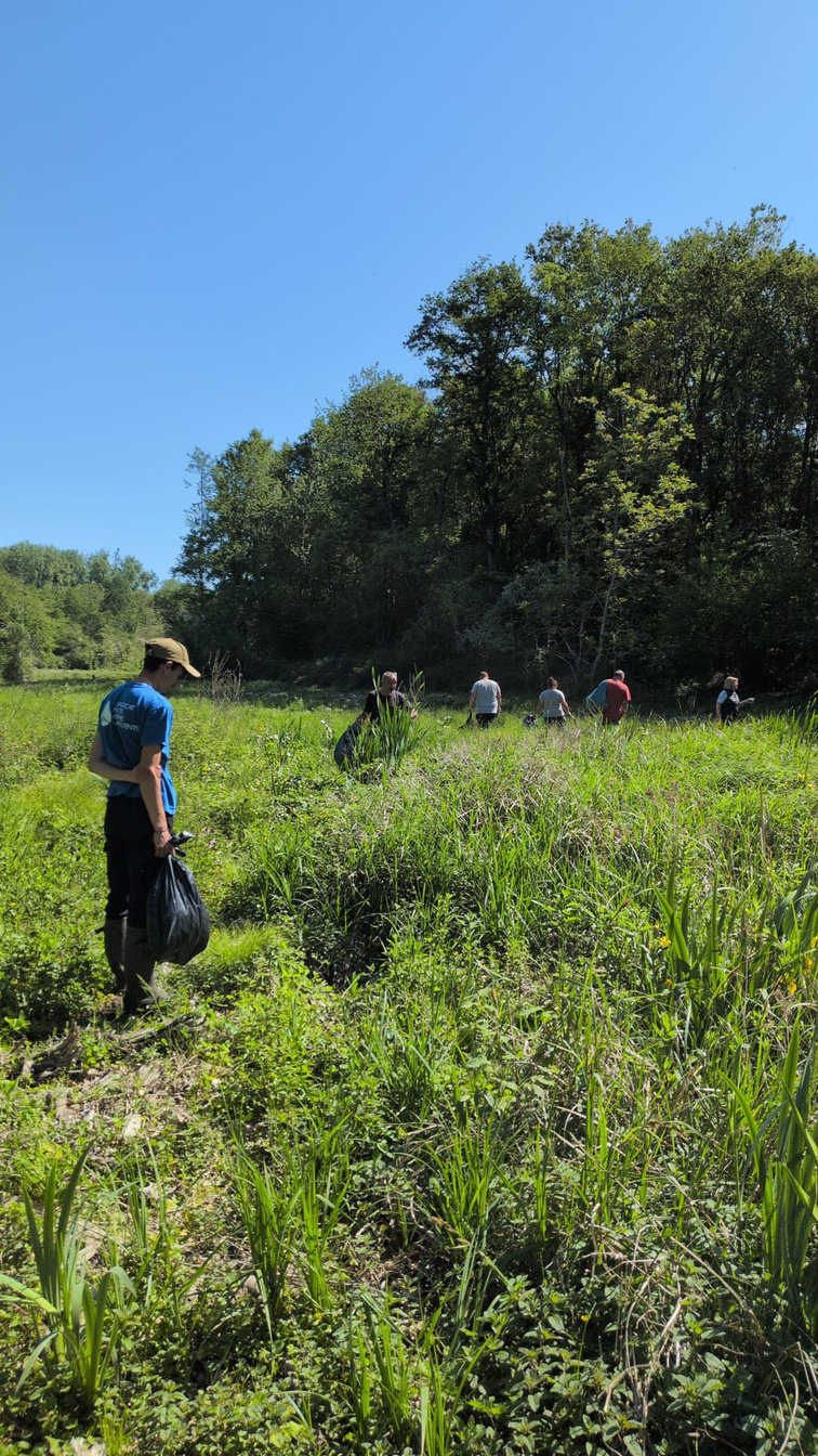 Une matinée engagée pour notre environnement